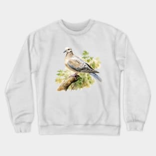 Collared Dove Crewneck Sweatshirt